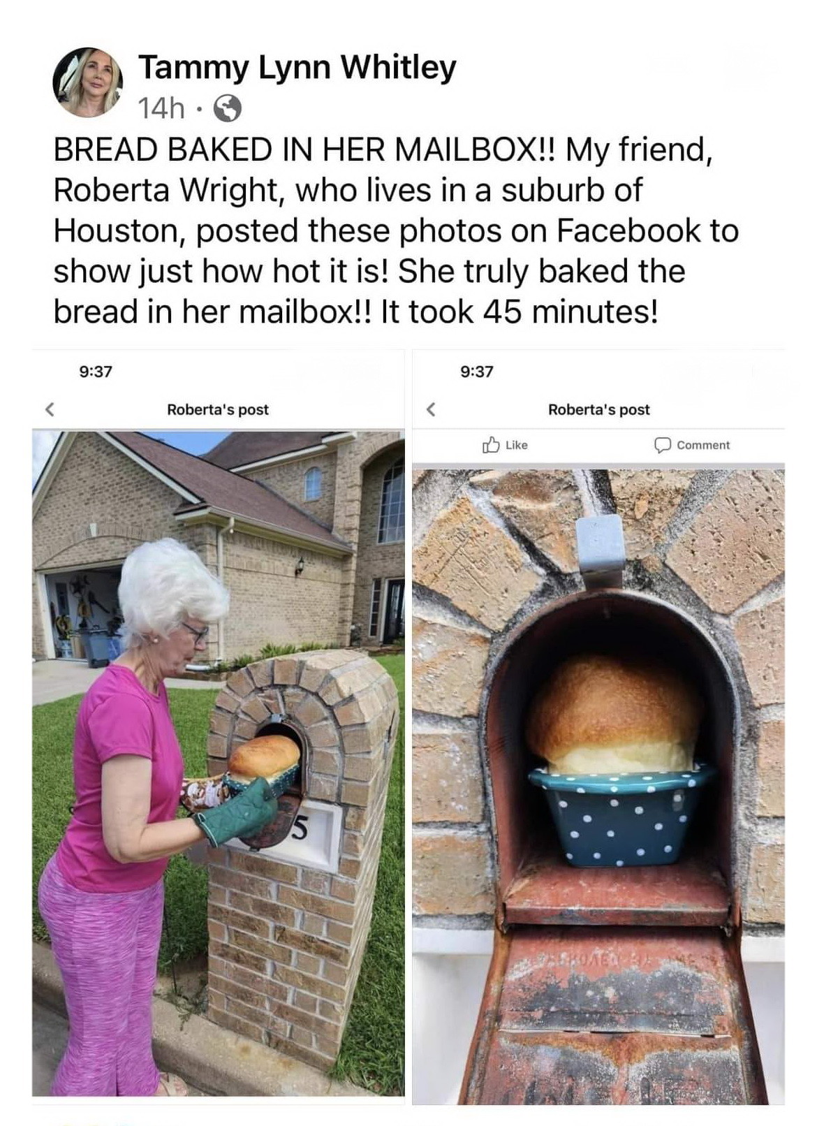 Mail Bread.jpg